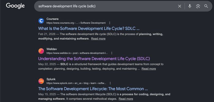 WellDev SERP